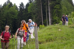 Forstseeli - Resspass - Fänerenspitz