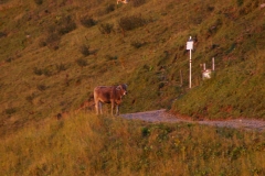 Hochgrat über Seelekopf