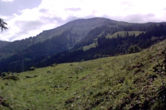 Seele-Weg - Rohnehöhe - Falken